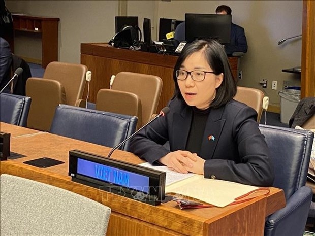 Vietnam commits to advancing women’s progress: ambassador